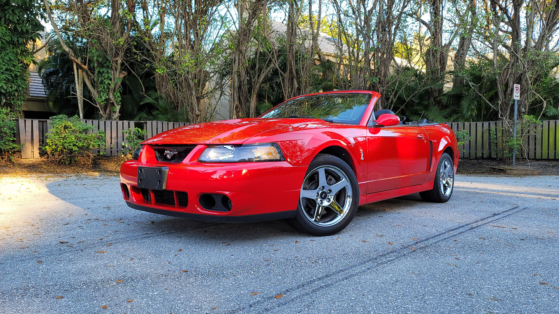 2004 Ford Mustang Svt Cobra - Limited Edition Motorcars